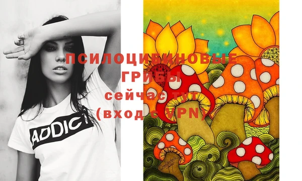 бутират Горно-Алтайск