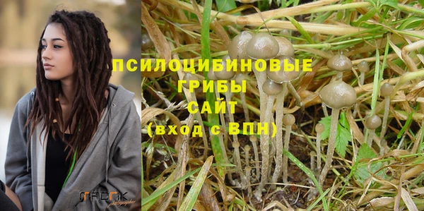 метадон Горняк